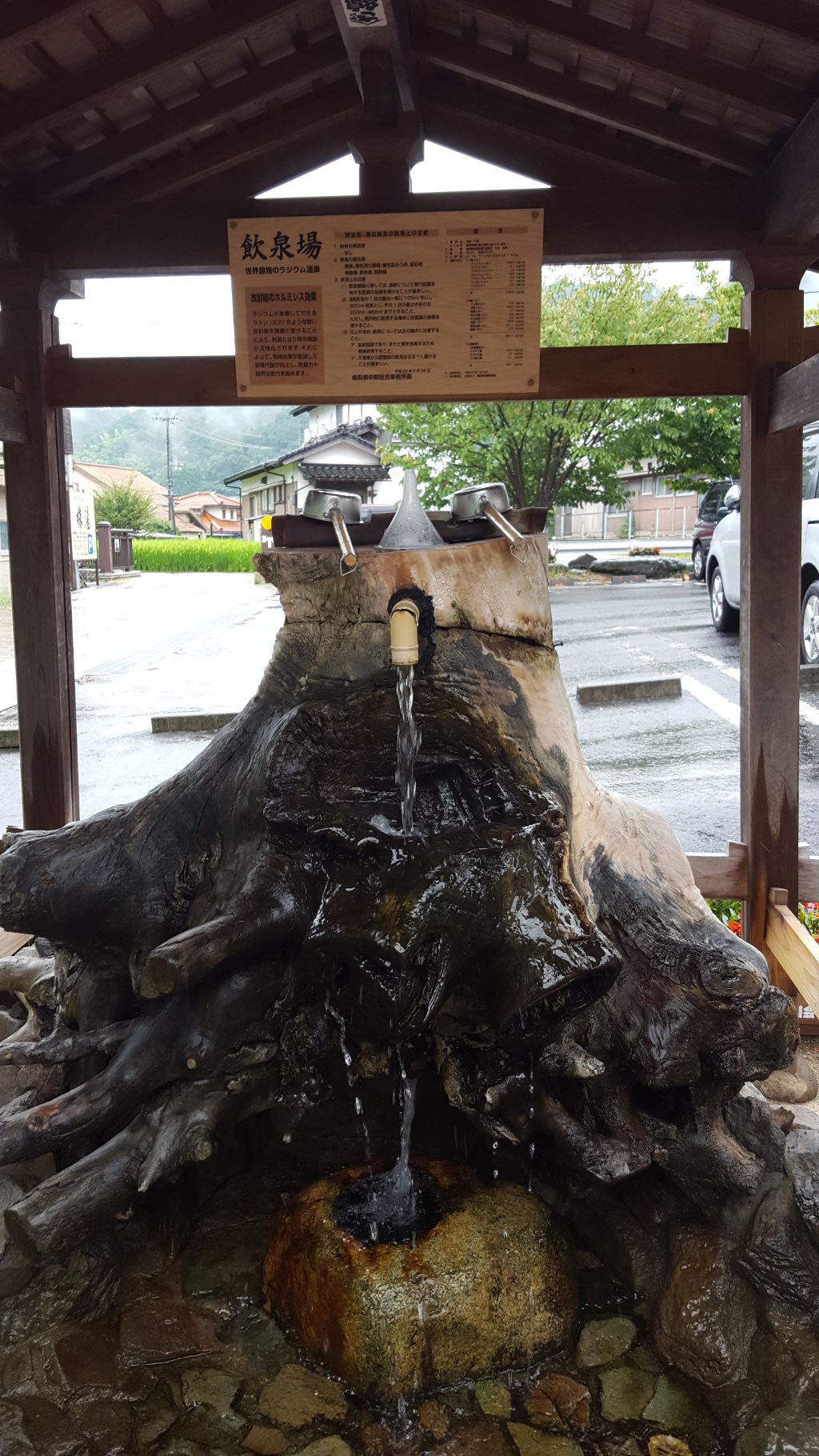 A replica stump from which the hot water of Kabuyu flowed.